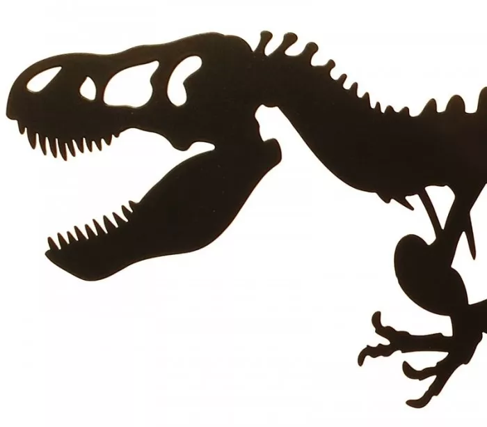 Decorative object tyrannosaur skeleton