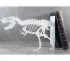 Large white bookend tyrannosaurus skeleton