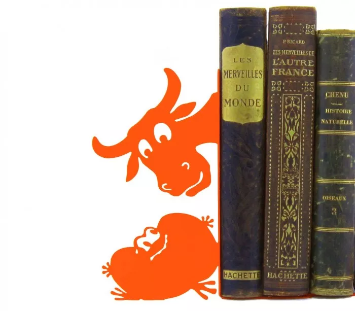 Fancy orange bookends to decorate shelves