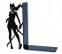 bookcase accessory manga style