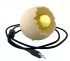 ostrich egg lamp Z-Eggs