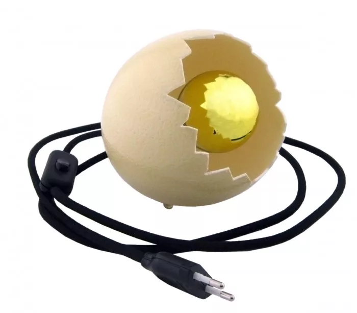 Luminaire à poser véritable œuf autruche