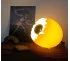 Lampe à poser originale en œuf autruche