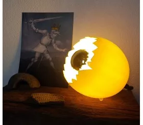 Fun ostrich egg light fixture