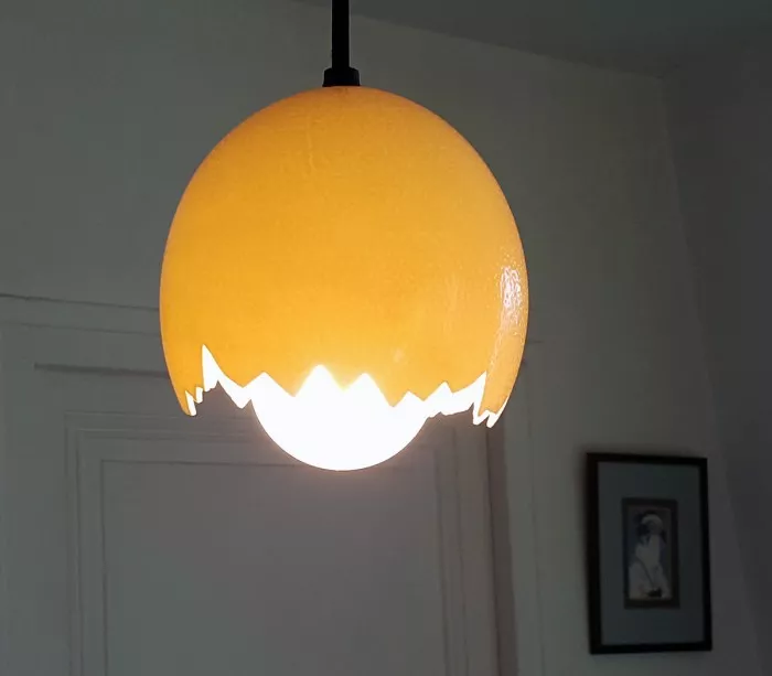 Luminaire œuf d'autruche à la coque