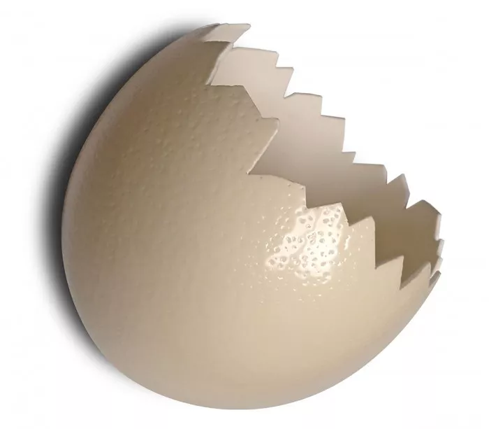 ostrich egg light fixture Z-Eggs