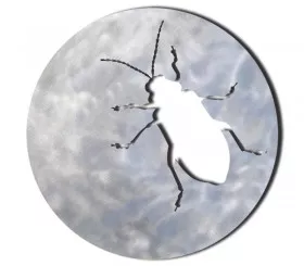 original modern trivet beetle