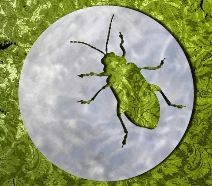 Dessous de plat "The beetle" original dans les arts de la table