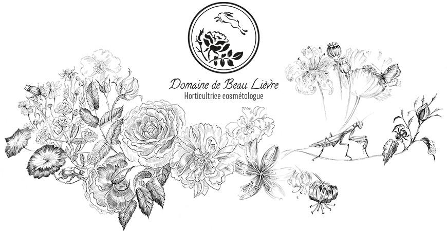 Design for the Domaine de Beau-Lièvre